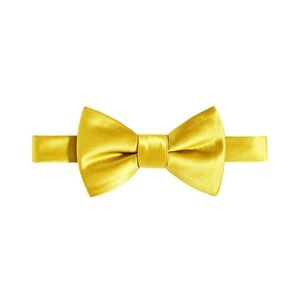 Tayion By Montee Holland Bowtie Mens Gold Solid Self Tie One Size NWT